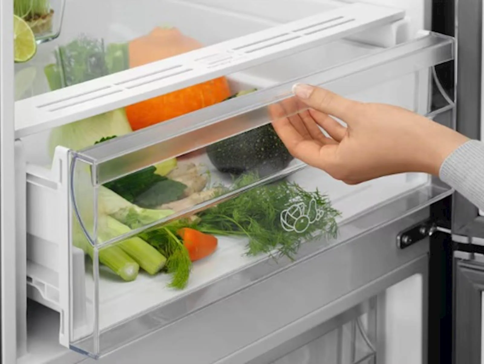 Frižider ELECTROLUX sa zamrzivačem LNT5ME36U1 - slika 7