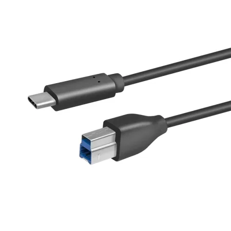 LogiLink Type-C Cable to USB-B 3.0 2m CU0163 - slika 2