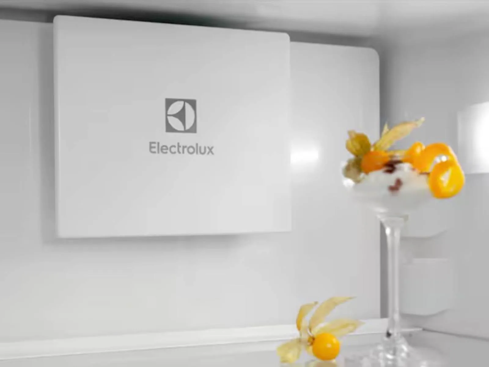Frižider ELECTROLUX ENT6MD19S3 - slika 6