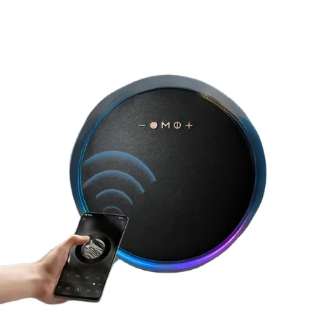 BORG Zvučnik LP19 Bluetooth RGB Black - slika 3
